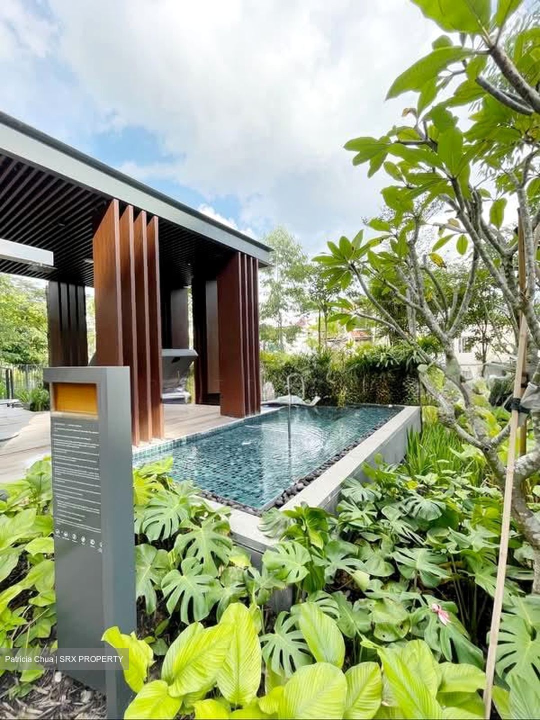 Verdale (D21), Apartment #539507761